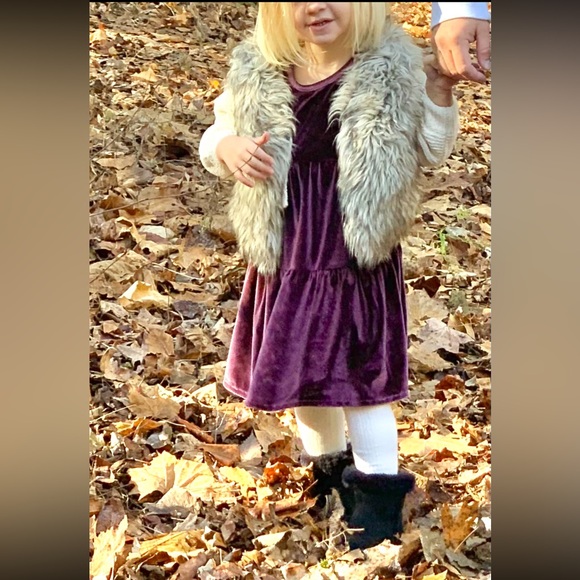 Velvet Toddler Dress - Picture 1 of 6
